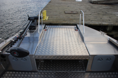 Alucat-W10-CC-Fish-6
