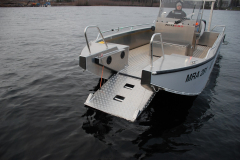 Alucat-W10-DC_rescue_2-23