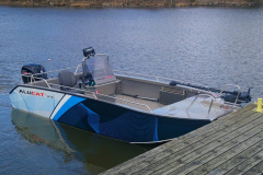 W10-CC-FISH5
