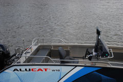 W10-CC-Fish-3