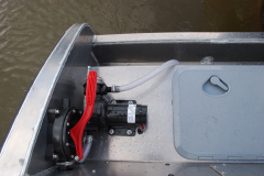 W10-CC-Fish-8