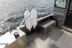 W14-CAB4-PRO-RESCUE-3